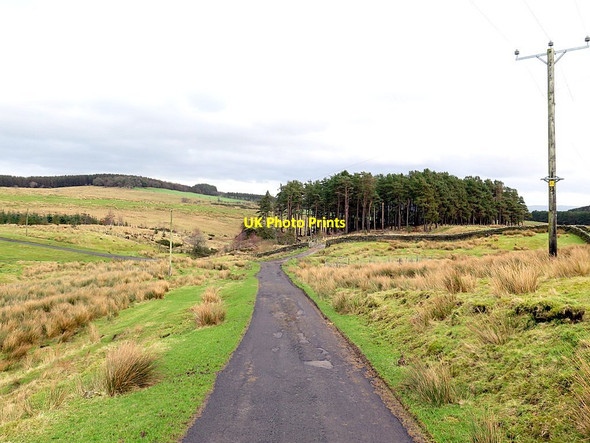 Photo 6"x4" Track east of Goatstones Uppertown\/NY8672 c2016