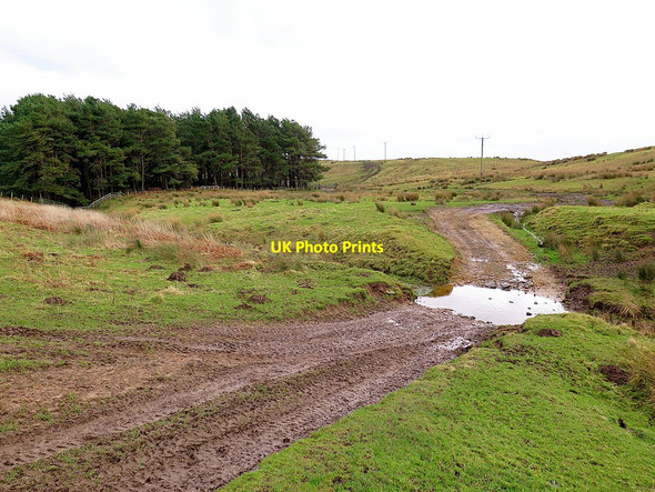 Photo 6"x4" Bridleway south-east of Pit Wood Uppertown\/NY8672 c2016