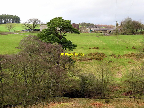 Photo 6"x4" Allgood Farm above Red Burn Park End\/NY8775 c2016