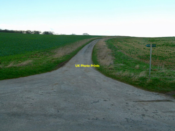 Photo 6"x4" Bridleway junction, Exton Park Exton\/SK9211 c2016