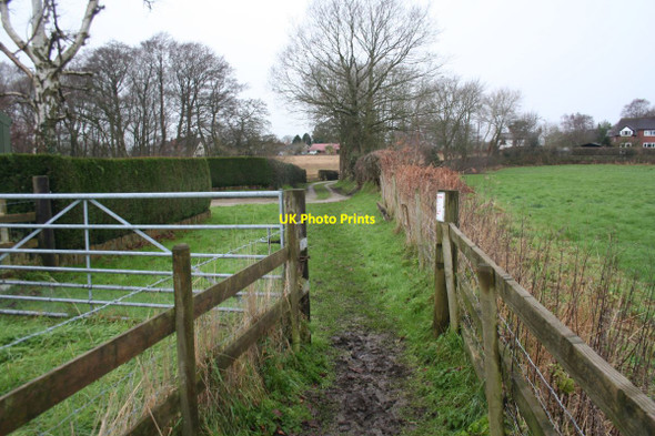 Photo 6"x4" Footpath in Mouldsworth Manley\/SJ5071 c2016