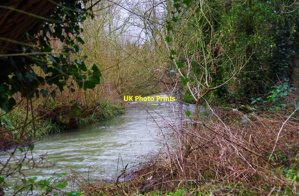Photo 6"x4" River Windrush, Witney, Oxon Witney c2016