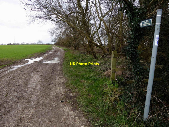 Photo 6"x4" Public bridleway sign Donington on Bain c2016