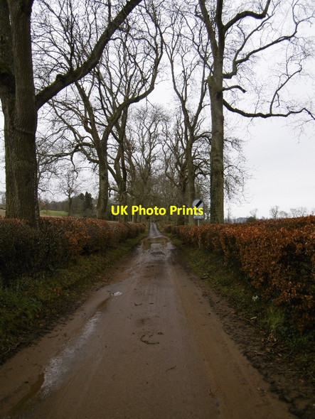 Photo 6"x4" Flooded road, Knapp Knapp\/NO2831 c2016