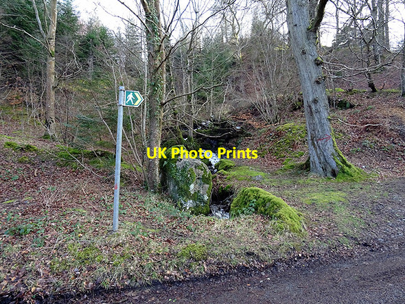 Photo 6"x4" Public right of way Llanycil c2016