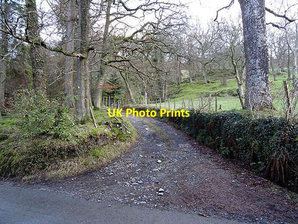 Photo 6"x4" Track to Graienyn Bala\/Y Bala c2016