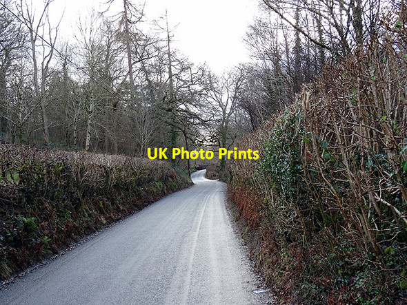 Photo 6"x4" The B4403 road to Llanuwchllyn  Bala\/Y Bala c2016
