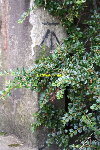 Photo 6"x4" Benchmark on Standridge Farm gate jamb Barnoldswick\/SD8746 c2015
