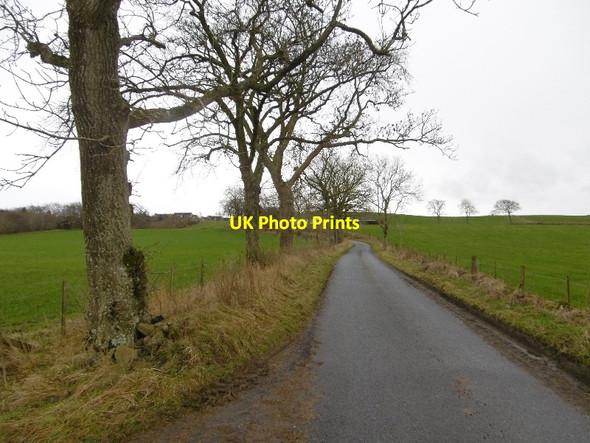 Photo 6"x4" Yellow road, Ledyatt Lundie\/NO2936 c2016