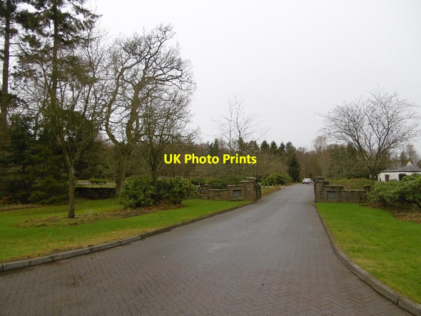 Photo 6"x4" Birkhill Cemetery Dundee\/NO3632 c2016