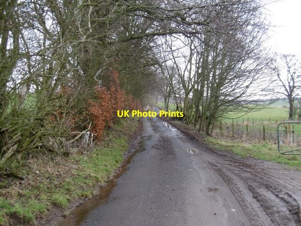 Photo 6"x4" Road to Lundie Lundie\/NO2936 c2016