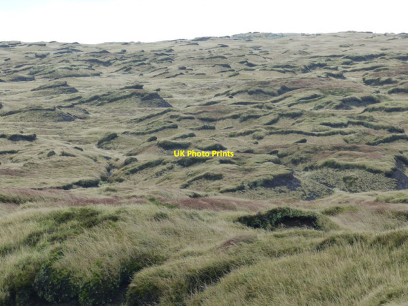 Photo 6"x4" The greening of Kinder plateau Upper Booth c2016