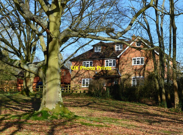 Photo 6"x4" Village green, Midgham, Berkshire Midgham Green c2016