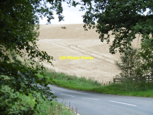 Photo 6"x4" B954, north of Alyth Bridge of Craigisla c2015