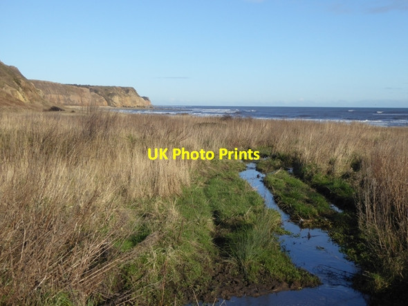 Photo 6"x4" Marshland at the mouth of Warren House Gill Peterlee c2016