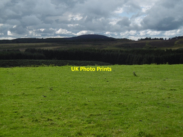Photo 6"x4" Near Pitewan Braes of Coul c2015