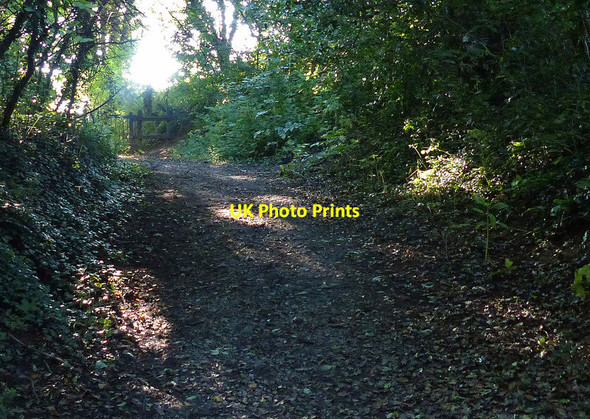 Photo 6"x4" Path along the top of Saltersford Tunnel Barnton\/SJ6375 c2015