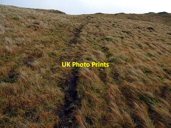 Photo 6"x4" Approaching the summit of Pumlumon Fach Pumlumon Fach c2016