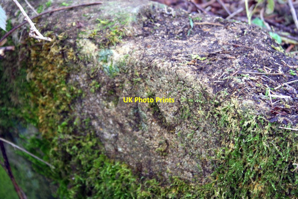 Photo 6"x4" Benchmark on culvert on Whitings Lane Delly End c2016