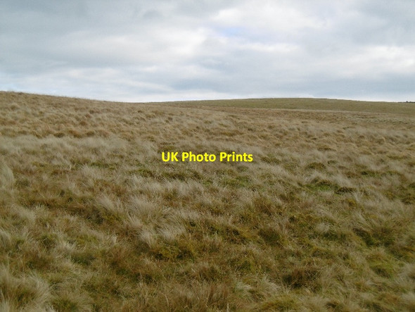 Photo 6"x4" Outer Law Jack's Law c2016