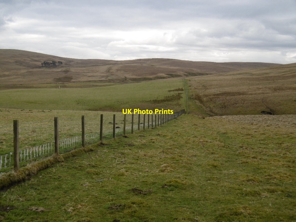 Photo 6"x4" Fence, Bodinglee Bodinglee c2016