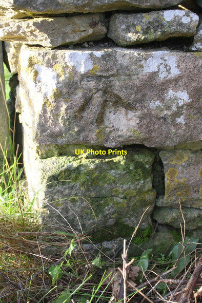 Photo 6"x4" Benchmark on Hatfield Pits Lane wall Hailey\/SP3512 c2016