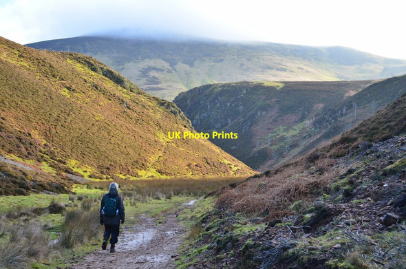 Photo 6"x4" Some sun in Green Cleugh Silverburn\/NT2060 c2016