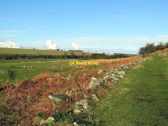 Photo 6"x4" Footpath below The Heughs, Craster Craster c2016
