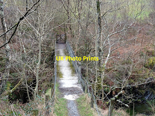 Photo 6"x4" Footbridge across Afon Rheidol Ystumtuen c2016
