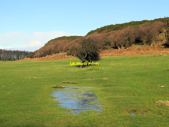 Photo 6"x4" The Heughs north of Little Shaird Craster c2016
