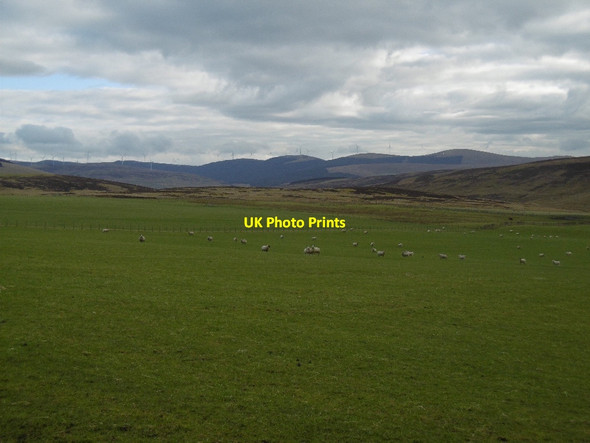 Photo 6"x4" Fields, Fallside Newton\/NS9331 c2016