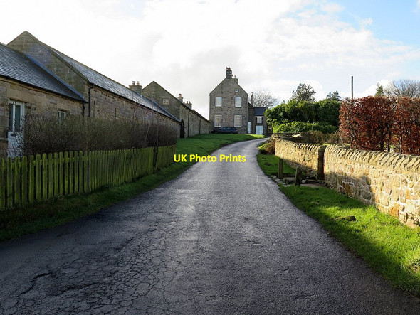 Photo 6"x4" Road at Dunstan Steads Embleton\/NU2322 c2016
