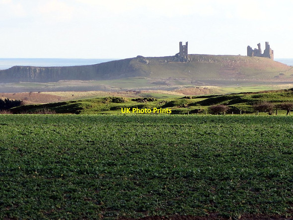 Photo 6"x4" Farmland east of Embleton Embleton\/NU2322 c2016
