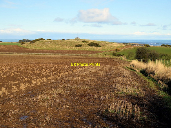 Photo 6"x4" Footpath east of North Farm Embleton\/NU2322 c2016