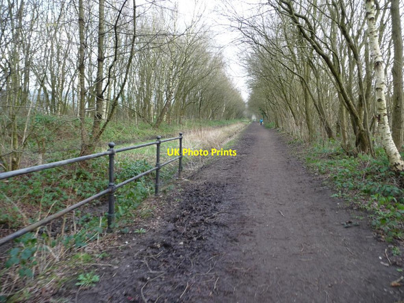 Photo 6"x4" The start of the Longdendale Trail Padfield c2016