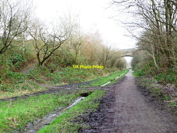 Photo 6"x4" The Longdendale Trail, heading north east Padfield c2016