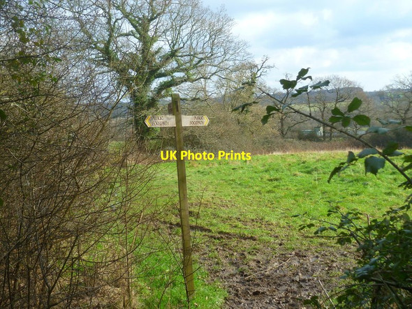 Photo 6"x4" Footpath junction east of Kingsfold Kingsfold\/TQ1636 c2016
