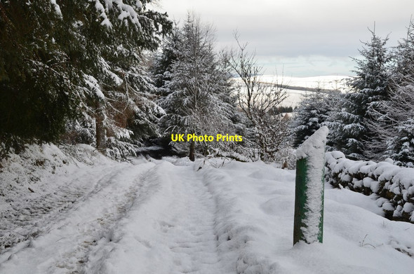 Photo 6"x4" February snowfall, Kittlegairy Hill Peebles\/NT2540 c2016