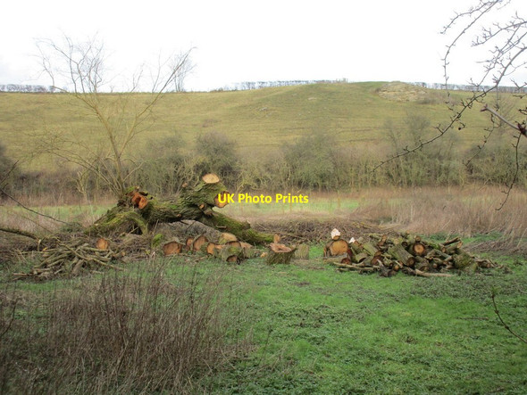Photo 6"x4" Felled willow and Smeaton Crags Kirk Smeaton c2016