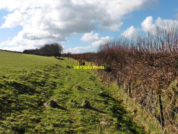 Photo 6"x4" Path on Rowley Down Blackmoor Gate c2016
