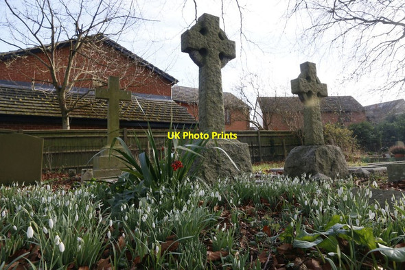Photo 6"x4" Snowdrops & Crosses Streatley\/SU5980 c2016