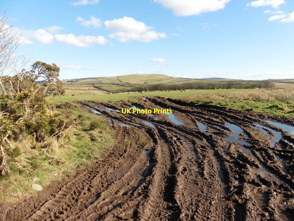 Photo 6"x4" Bridleway at Northland Corner Barton Town c2016