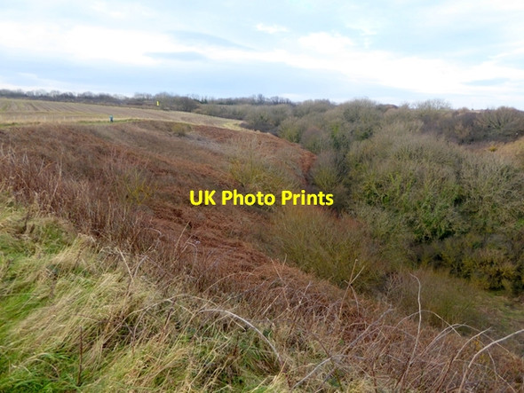 Photo 6"x4" Ryhope Dene Seaham c2016