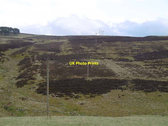 Photo 6"x4" Moorland, Bodinglee Newton\/NS9331 c2016