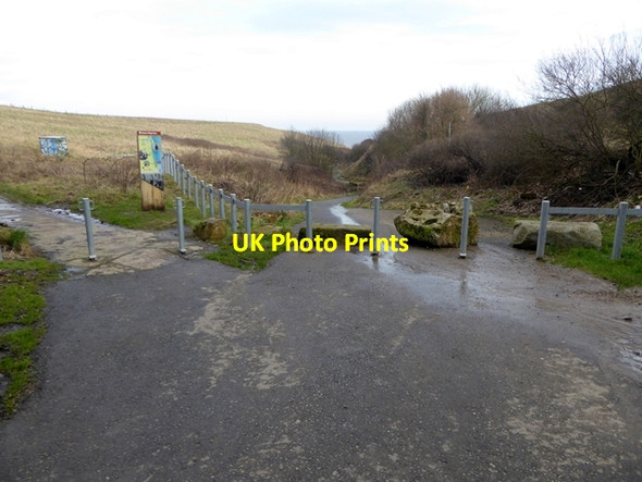 Photo 6"x4" Ryhope Village Dene Ryhope c2016
