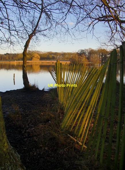 Photo 6"x4" Fence by the Upper Pen Pond Kingston Upon Thames c2016