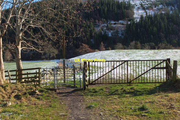 Photo 6"x4" Path to the Tweed, Innerleithen Innerleithen c2016