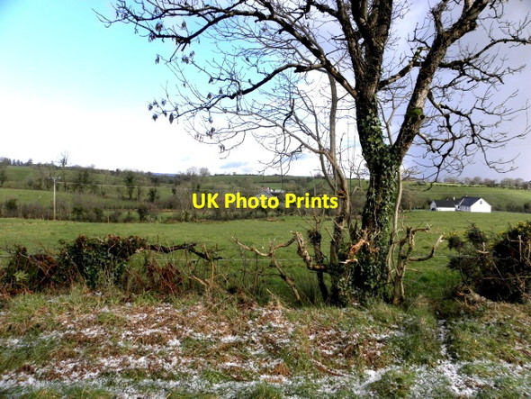 Photo 6"x4" Tattykeel, County Tyrone Dromore\/H3562 c2016