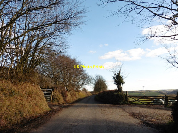Photo 6"x4" Turning for Down Farm Little Bray c2016