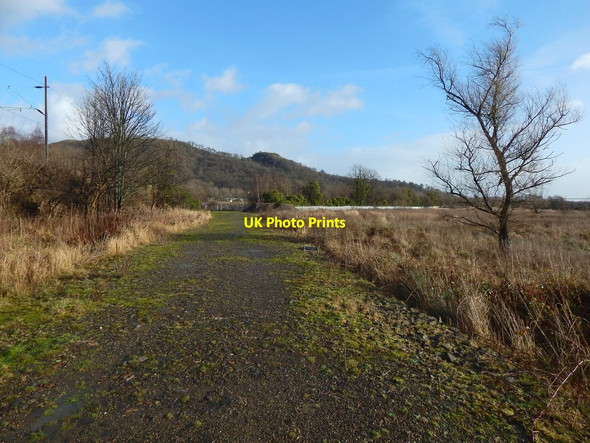 Photo 6"x4" Path near the shore at Milton Dumbarton c2016
